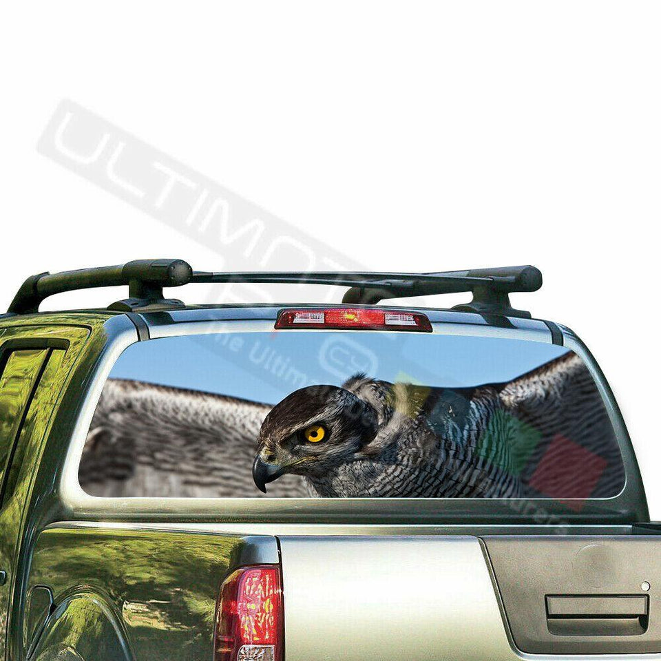 Eagles Designs Decals Window See Thru Stickers Perforated for Nissan Frontier