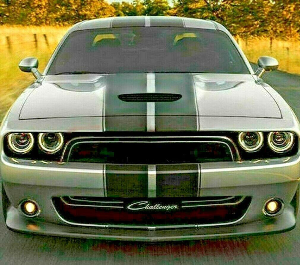 Dual Racing Rally Stripe for Dodge Challenger SRT Hellcat stack pack SXT GT  widebody 2014 2015 2018 2019 2020 2021 2022 2023 RT