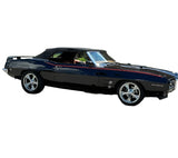 Stripes decals For  Pontiac 1973-1975 FIREBIRD FORMULA Esprit gto