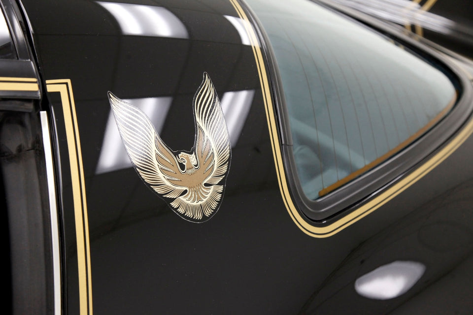Full kit of Hood Stripes Sticker Decal for Pontiac Firebird Trans Am 1978 T/A - 66 including hood Limited