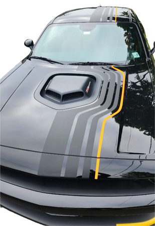 The shakedown stripes by Ultimatepro designs  for Dodge Challenger Racing covers Hood roof rear trunk