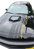 The shakedown stripes by Ultimatepro designs  for Dodge Challenger Racing covers Hood roof rear trunk