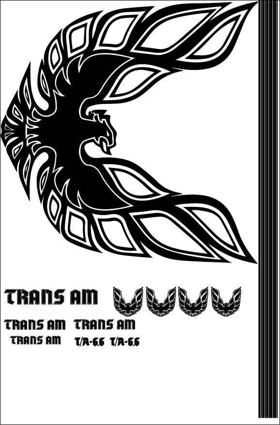 Full kit of Hood Stripes Sticker Decal for Pontiac Firebird Trans Am 1978 T/A - 66 including hood Limited