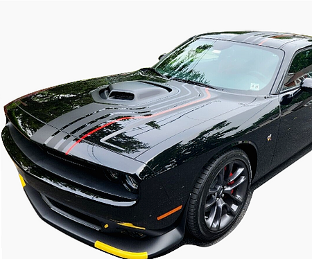 The shakedown stripes by Ultimatepro designs  for Dodge Challenger Racing covers Hood roof rear trunk