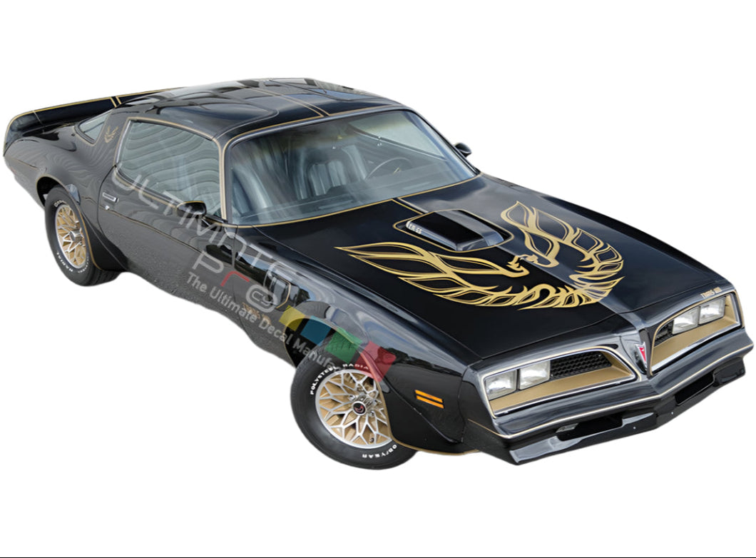 Full kit of Hood Stripes Sticker Decal for Pontiac Firebird Trans Am 1978 T/A - 66 including hood Limited