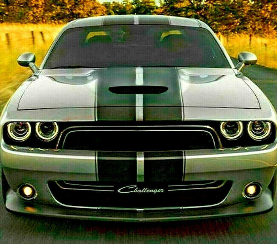 Racing Rally Stripe for Dodge Challenger SRT Hellcat 2014 2015 2018 2019 2020 RT