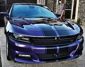 STRIPES FITS CHARGER 2006 STICKER BODY KIT FOR CARBON 2005 2006 2007 2008 2009 2010 2011 2012